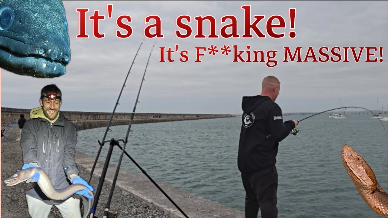 Fishing for mini species and conger ITS F**KING MASSIVE! Holyhead Breakwater #seafishinguk #fishing