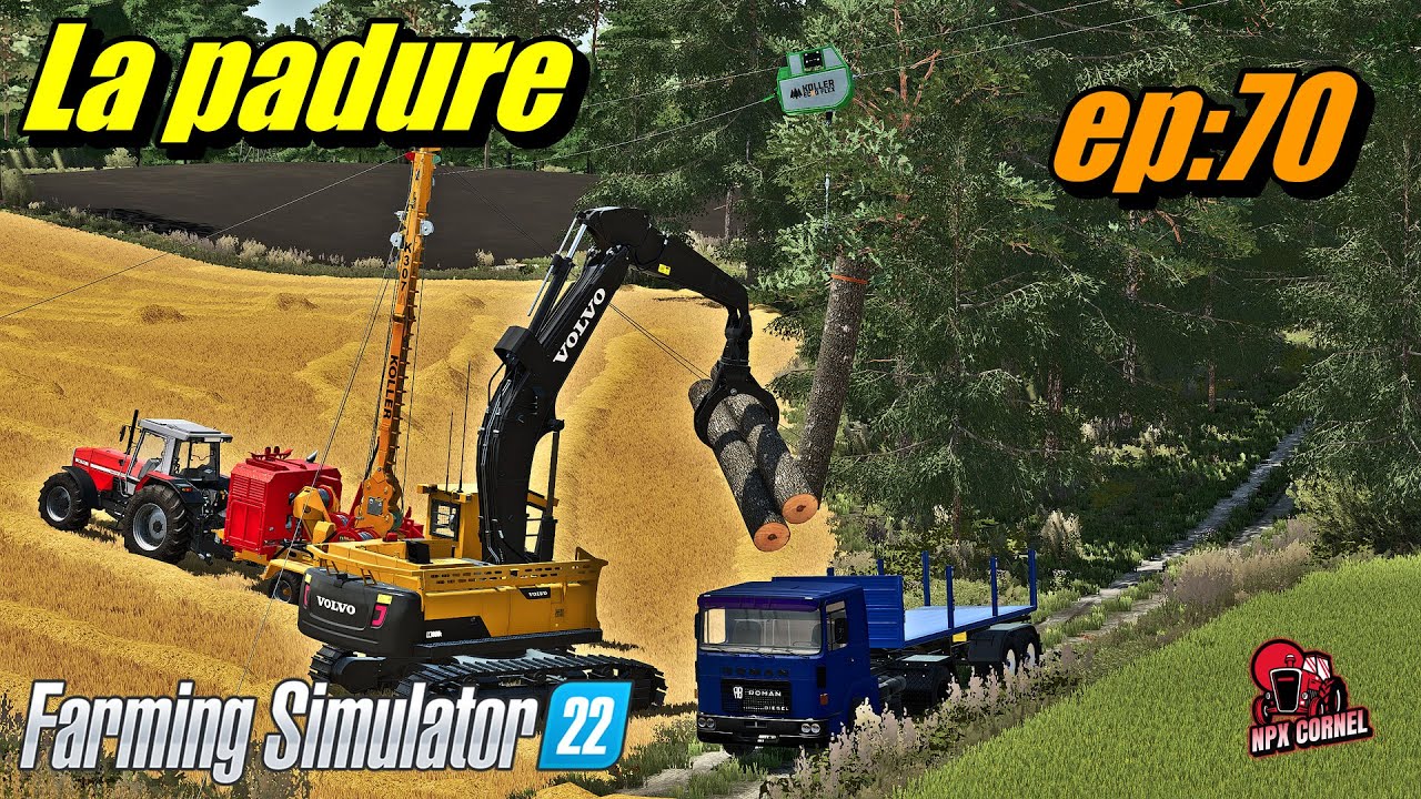 #fs22 Romania Roleplay/Nea Aurel transforma lemnul in mobila/ep:70