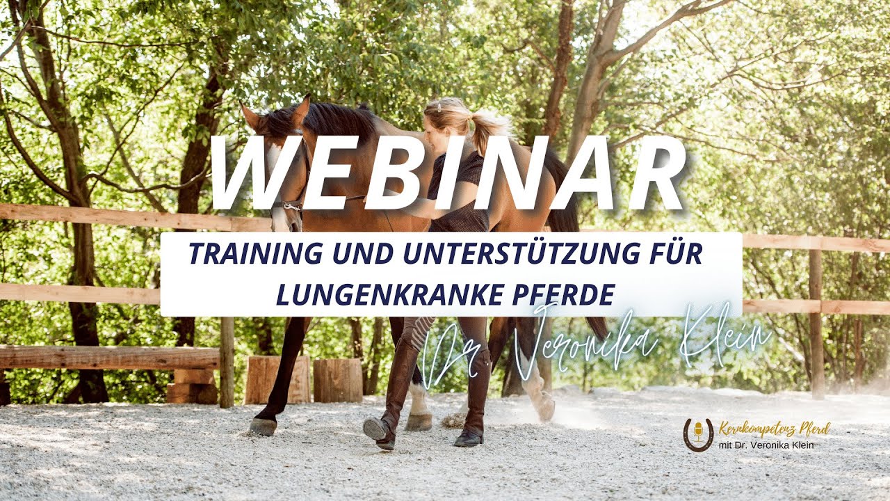 Webinar: Training und Unterstützung für lungenkranke Pferde