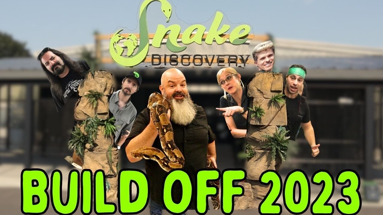 I Just Did the 2023 Snake Discovery Build Off