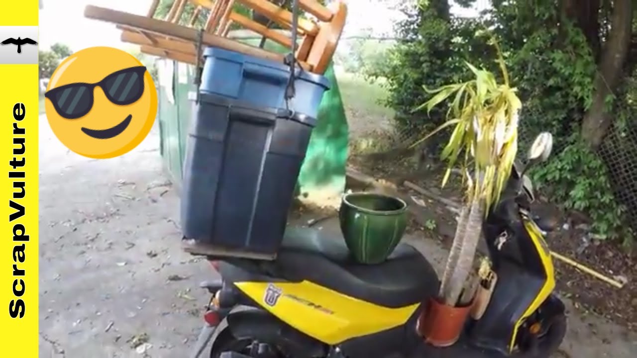 SCAVENGER - Thrift Store, Scrap Yard, Dumpster Diving & Road Kill