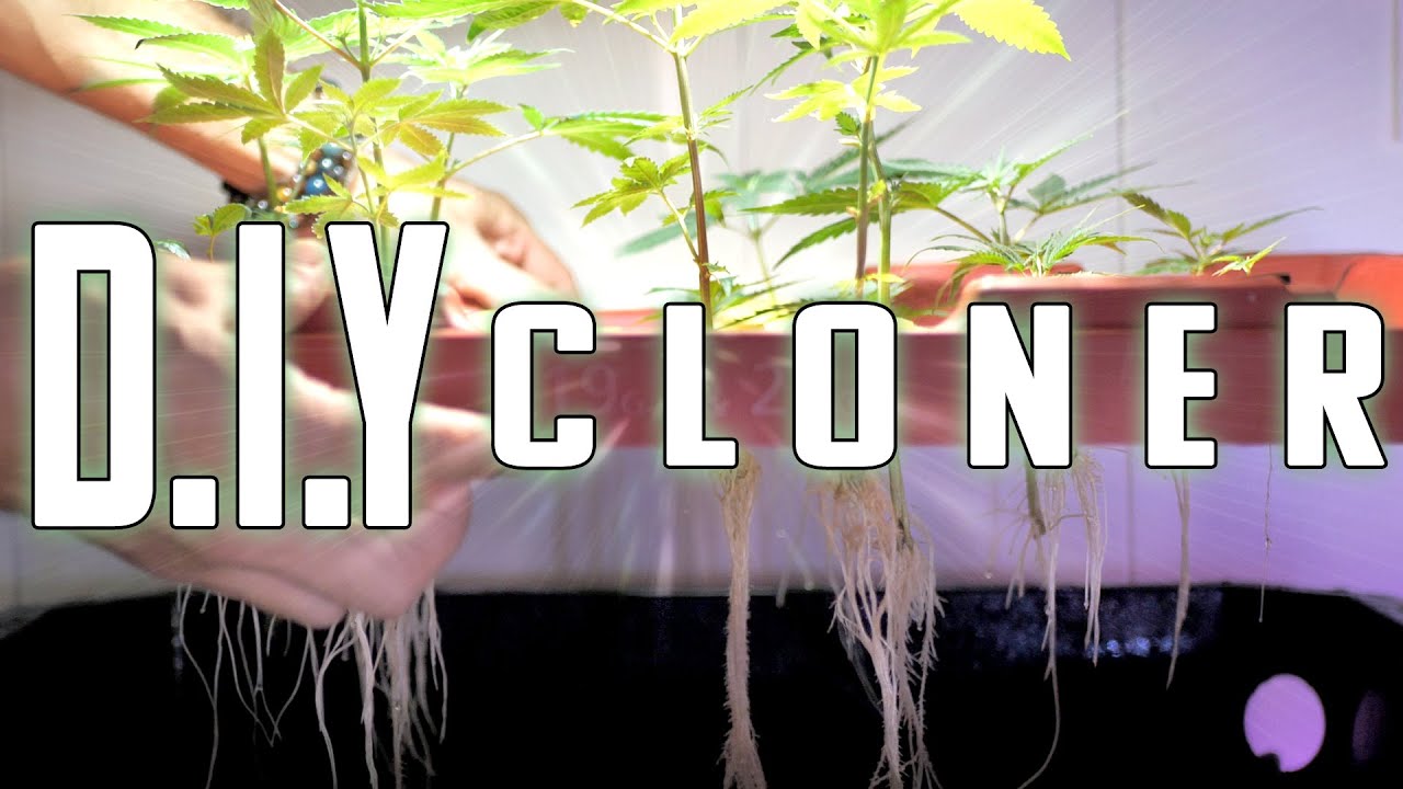 DIY Aeroponic CLONER BUILD | Clone From Cuttings The Fastest and Most Effective Way, Aeroponically