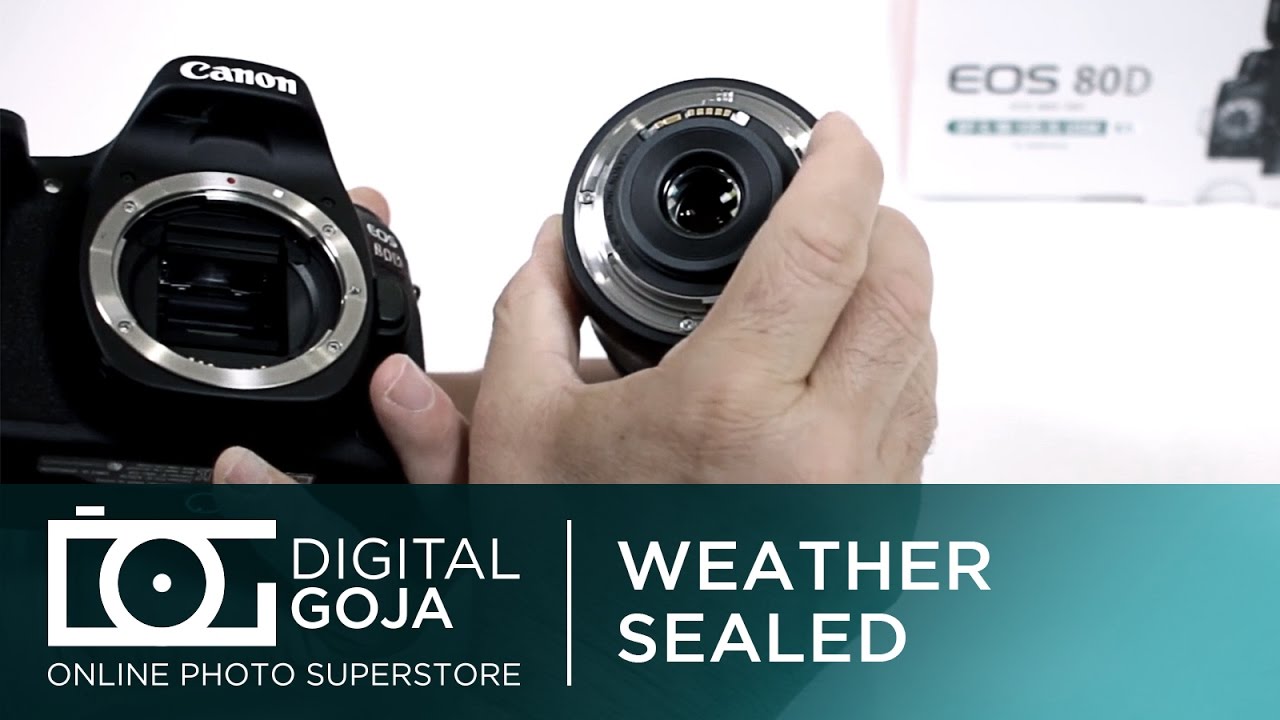 Canon 80D EOS DSLR Camera: Is It Weathersealed? | Video Tutorial