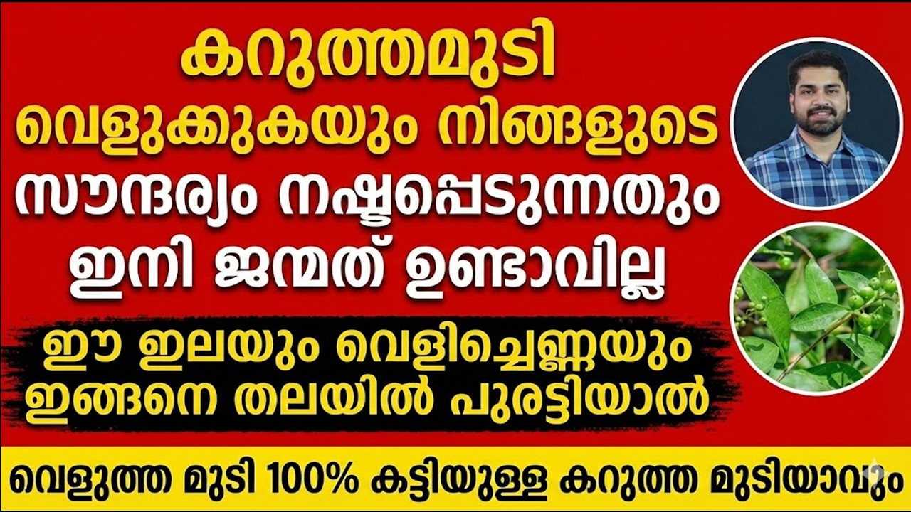 ഈ ഇലയും വെളിച്ചെണ്ണയും തലയിൽ പുരട്ടിയാൽ വെളുത്ത മുടി 100% കറുത്ത മുടിയാവും| naracha mudi karuppikkan