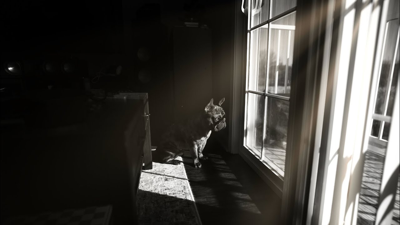 Sample shots Nikon ZR with Sony 20mm 1.8. 