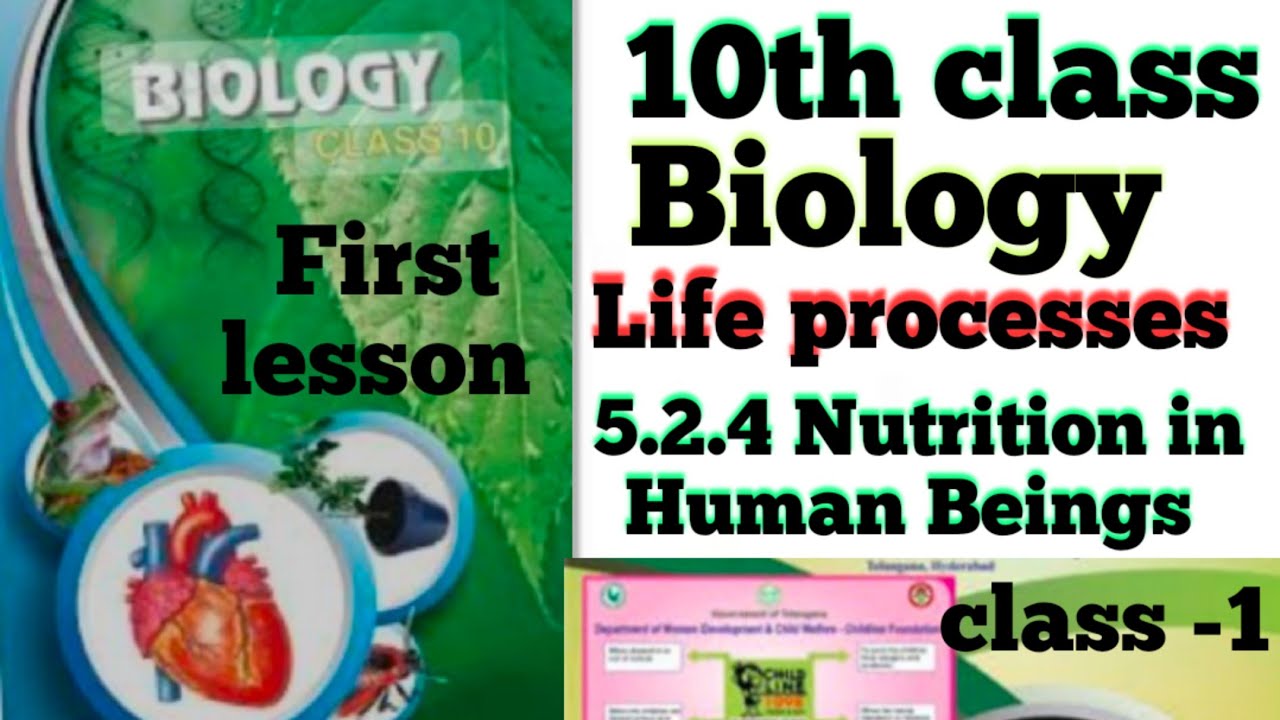 10th class Biology first Life processes ( 5.2.4 Nutrition in Human Beings) class -1 explanation 💯👍💐