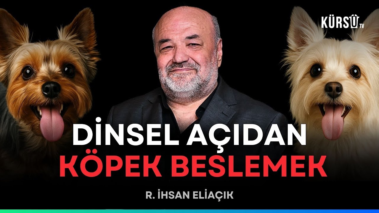 İhsan Eliaçık Evde Köpek Beslemek Gerçekten Günah Mı? sorusunu cevapladı #ihsaneliacik