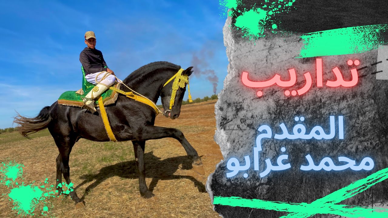 رحلة مثيرة إلى تداريب سربة محمد غرابو ❤️‍🔥🐴