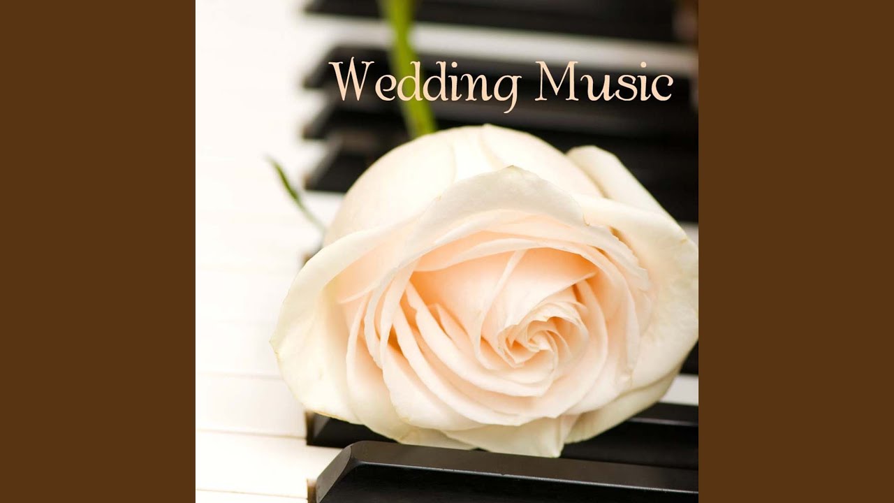 Wedding Party Music Background