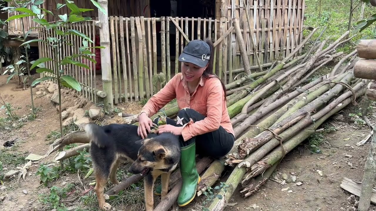 Preparing Firewood for Winter – A Simple Day of Work