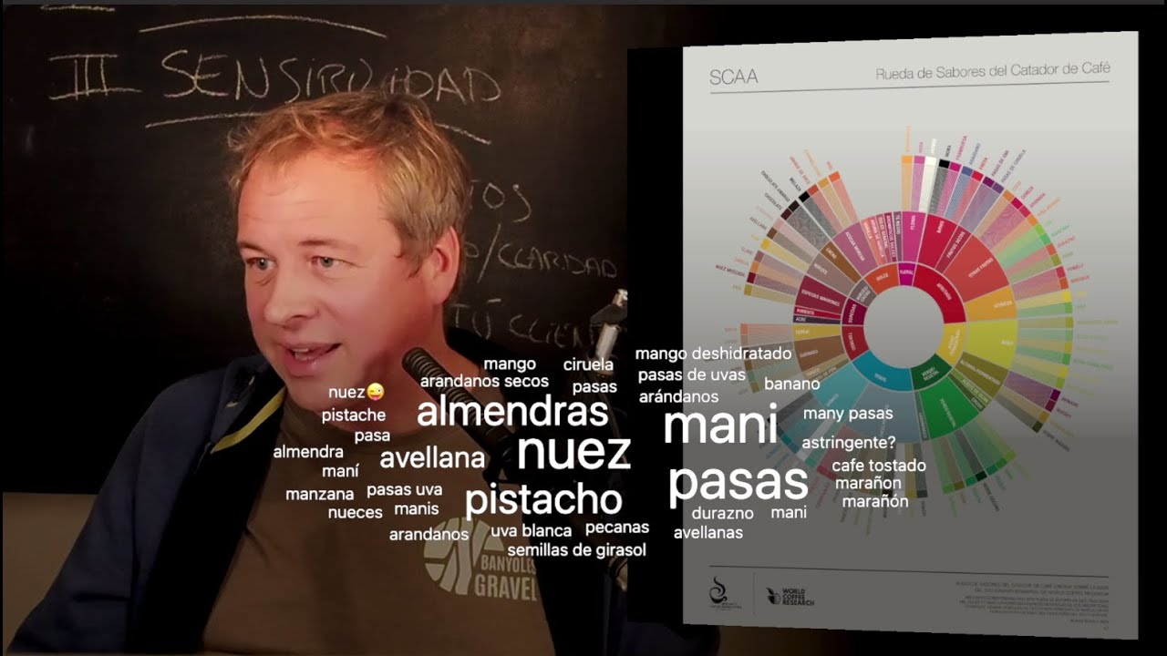 Masterclass Cata Café Sensible para emprendedores