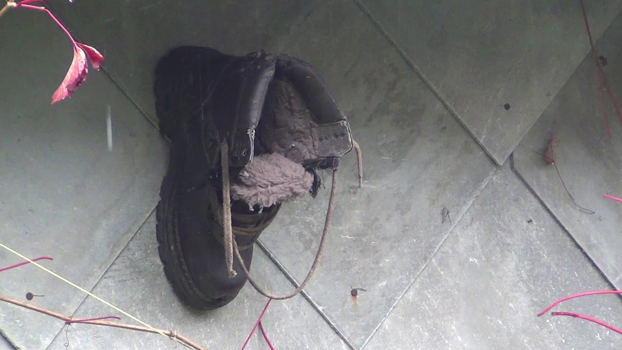 buty i budki ....ornitologicznie