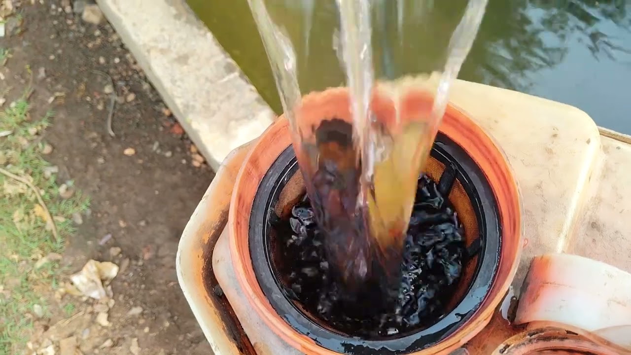 Kisi bhi 😍plant ke andar🥰 dressing karne ka Aasan Sa desi😃😃 Jugaad 