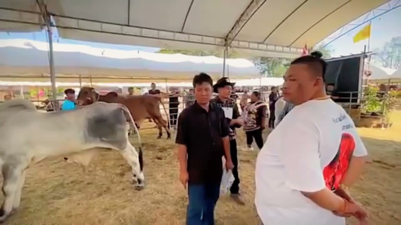 ระทึก แกรนด์แชมป์ของปี69