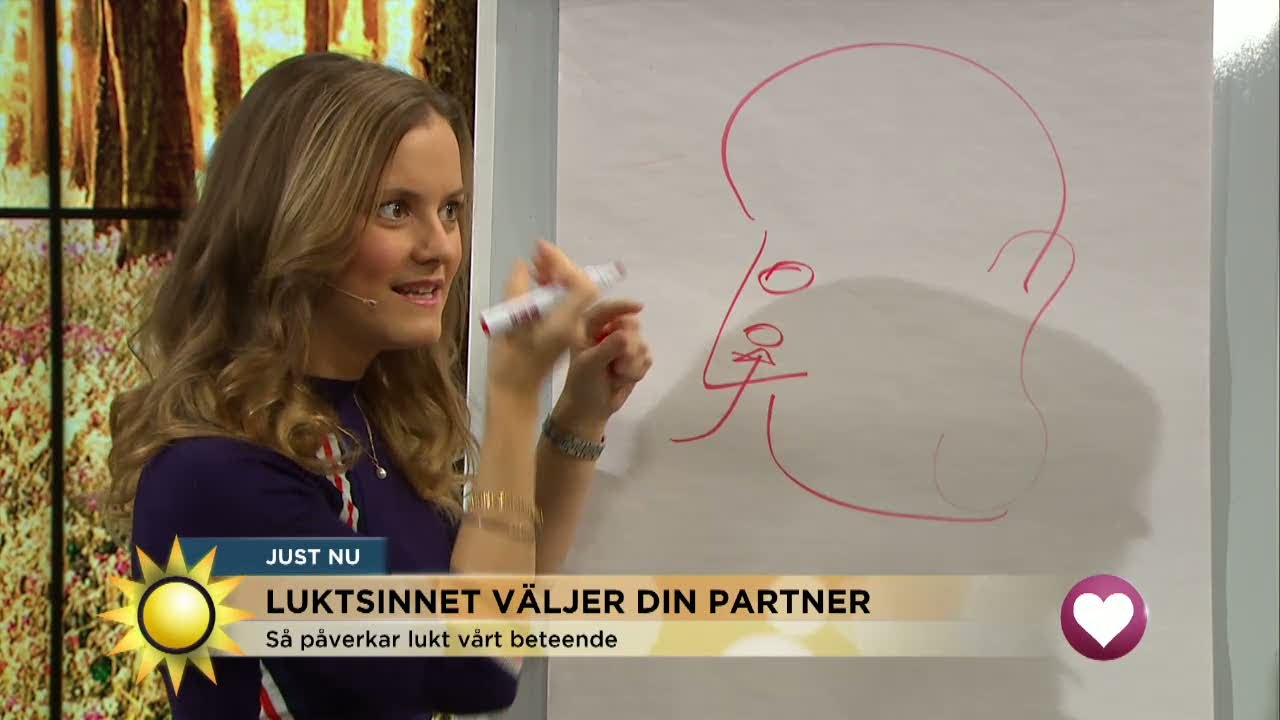 Luktsinnet väljer din partner! - Nyhetsmorgon (TV4)