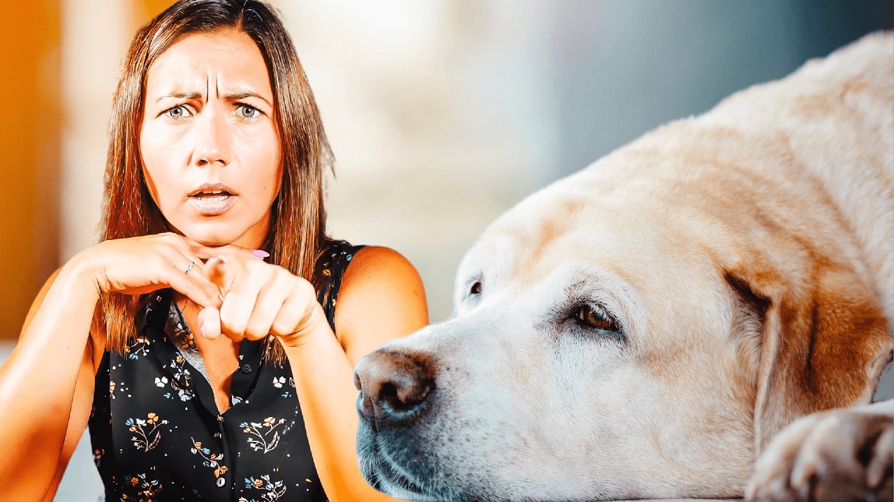 Jak NIE krzywdzić swojego psa