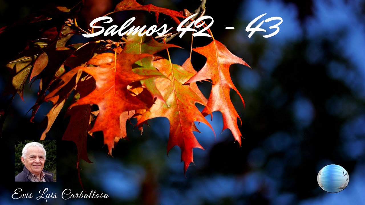 Salmos 42 y 43