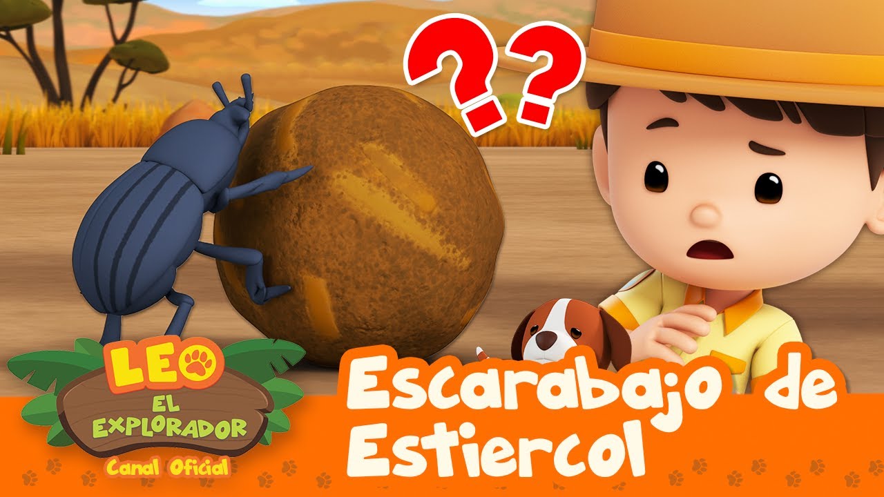 &iexcl;Rodando una bola de CACA?! 🤮💩 | Escarabajo de Esti&eacute;rcol | Leo, El Explorador | Animaci&oacute;n - Familia
