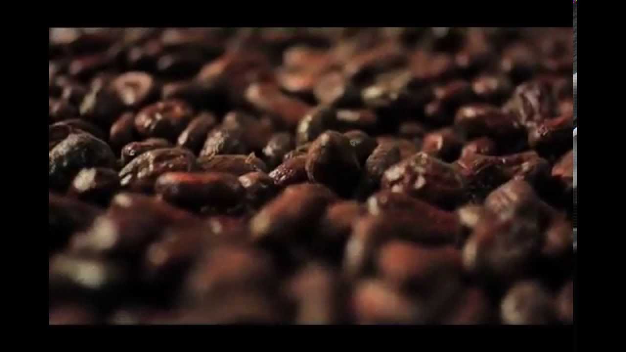 La Elaboración del Chocolate (ESP)
