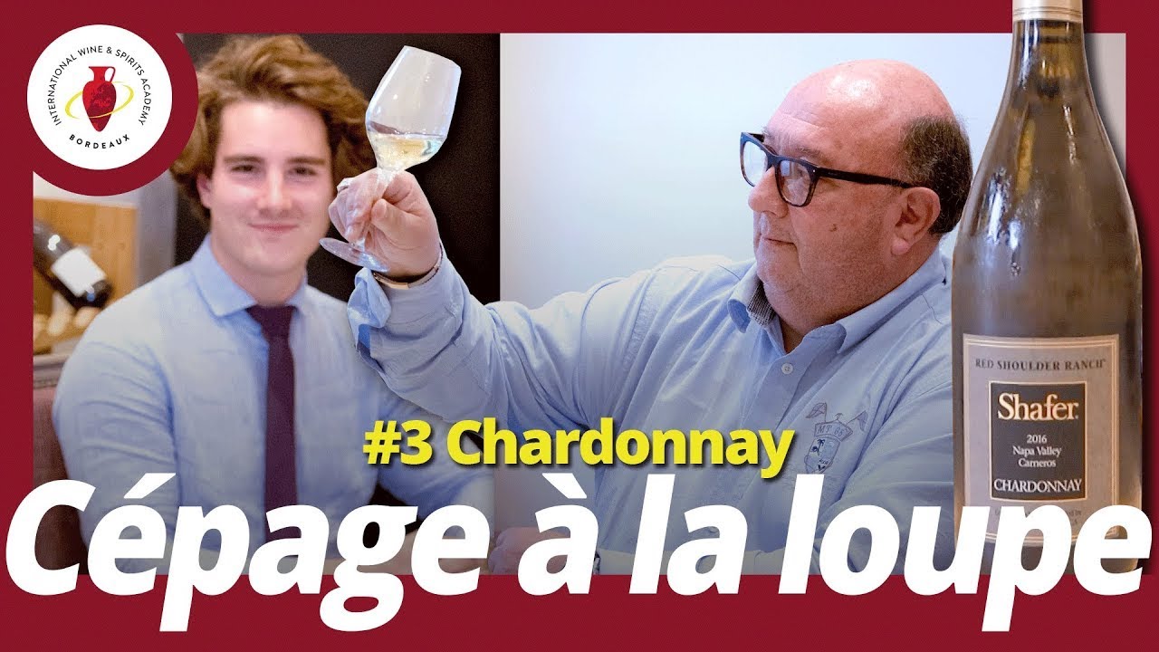 /Cépages à la loupe/ #3 Chardonnay