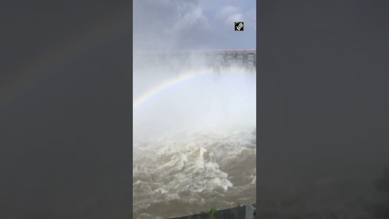 Gujarat: Massive amount of water discharged from Ukai Dam in Tapi river