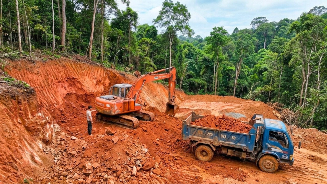 Cleaning The Chicken Coop, Using An Excavator And A Truck To Build A Large Garden In The Forest