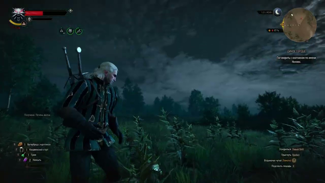Пошла на медведя The Witcher 3: Wild Hunt #5