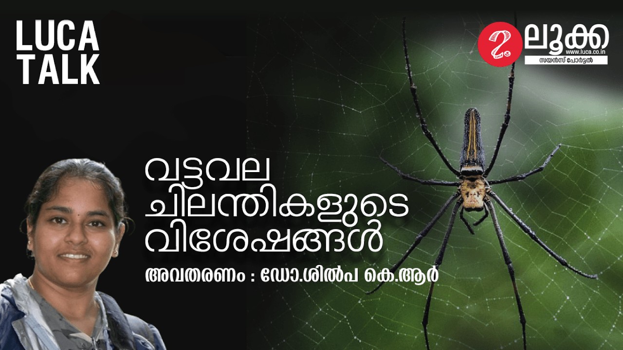 വട്ടവല ചിലന്തികളുടെ വിശേഷങ്ങൾ – ഡോ.ശിൽപ കെ.ആർ | LUCA TALK