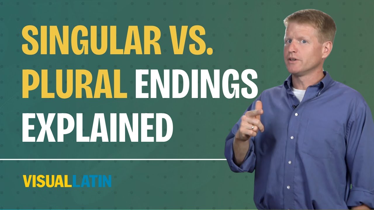 Singular vs. Plural Nouns Explained | Visual Latin 4A