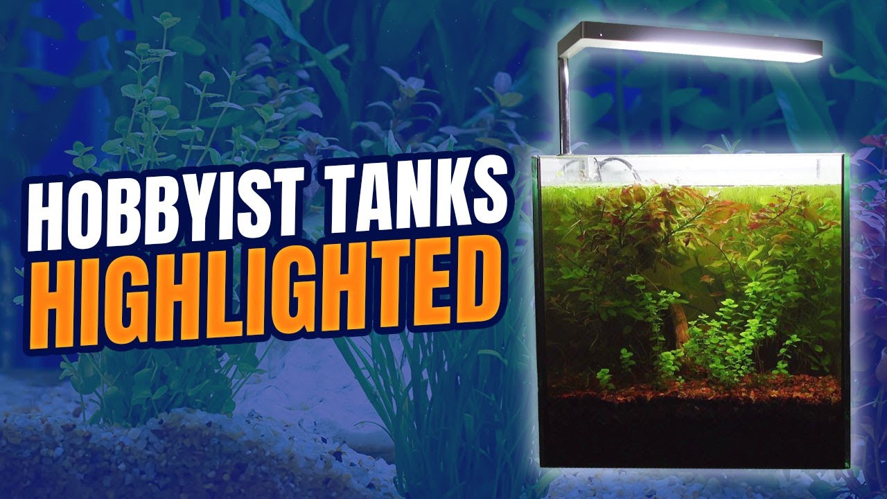 NANO Freshwater Aquariums by Hobbyists around the World