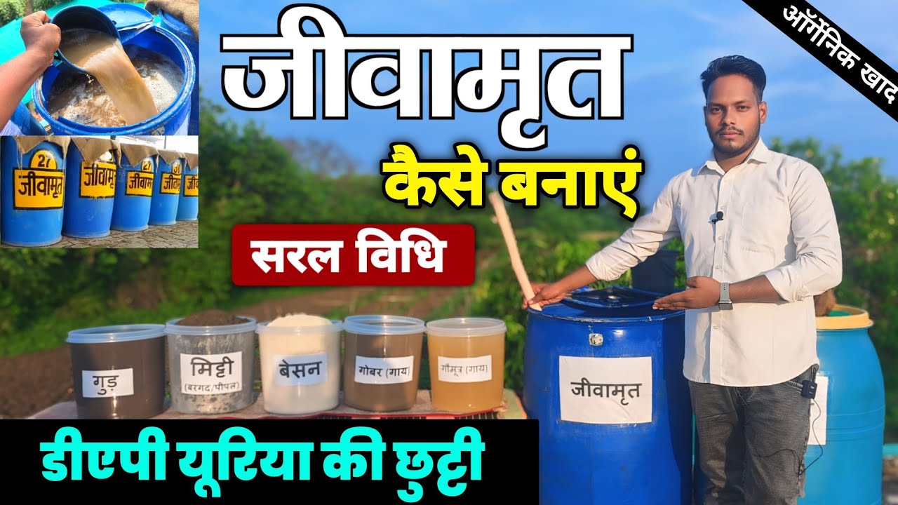 Jivamrit kaise banaen | जीवामृत कैसे बनाएं | सरल आसान विधी🌱jivamrit kaise taiyar karen🌱Organic khad