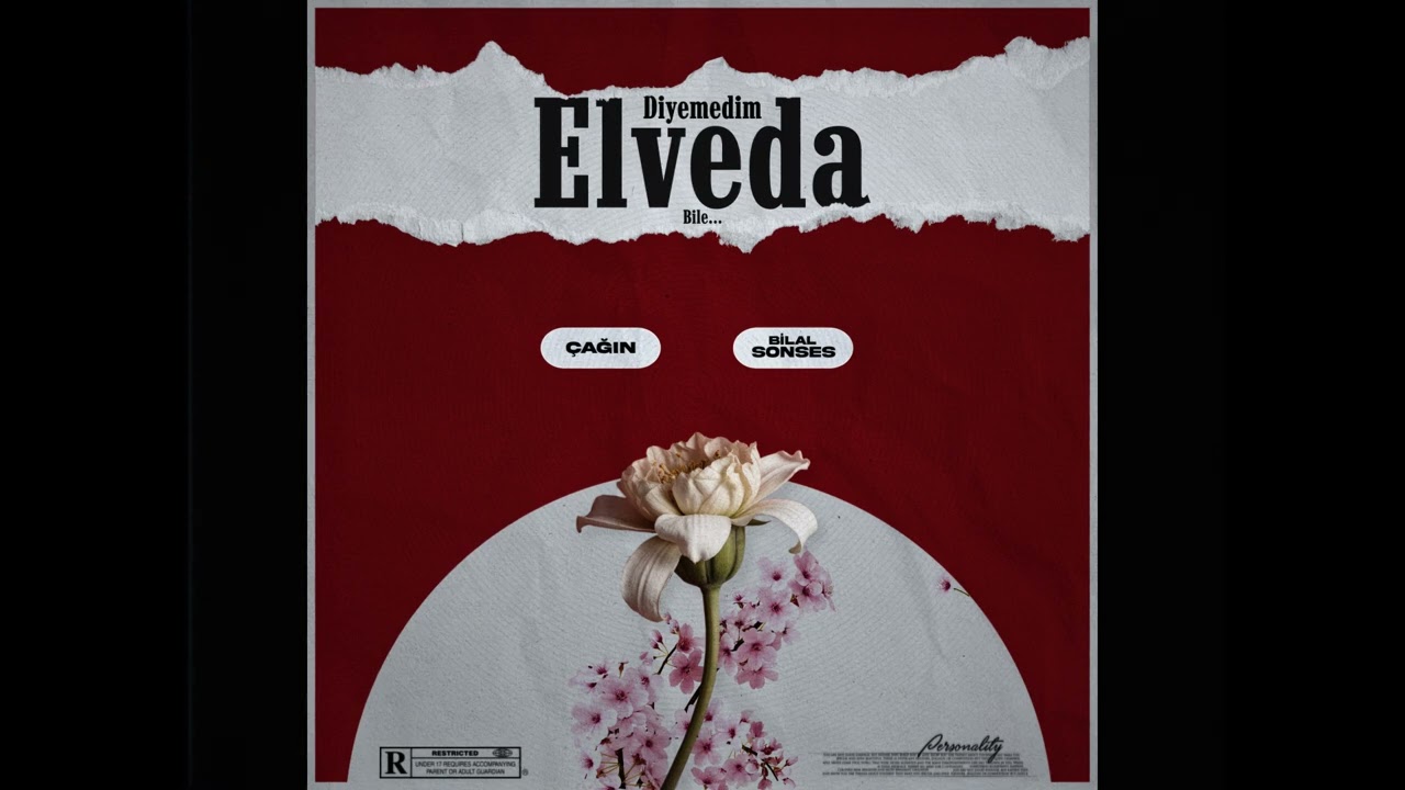Bilal Sonses & &Ccedil;ağın - Diyemedim Elveda