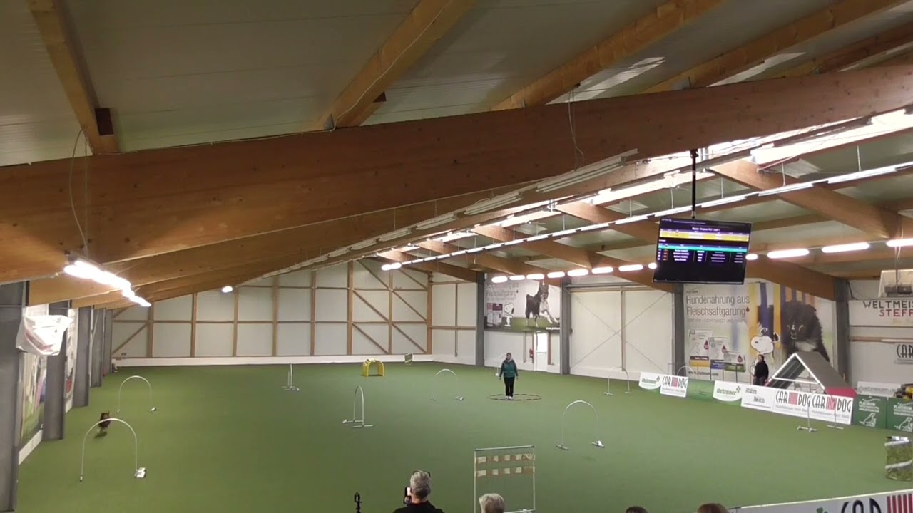 Hoopers Turnier Dogs World Arena Östringen 13 Januar24 H2 mit Liv