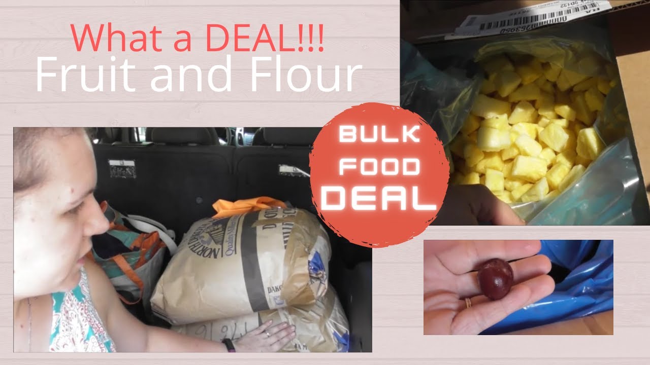 Too good to pass up! | Fruit/Flour BULK FOOD HAUL