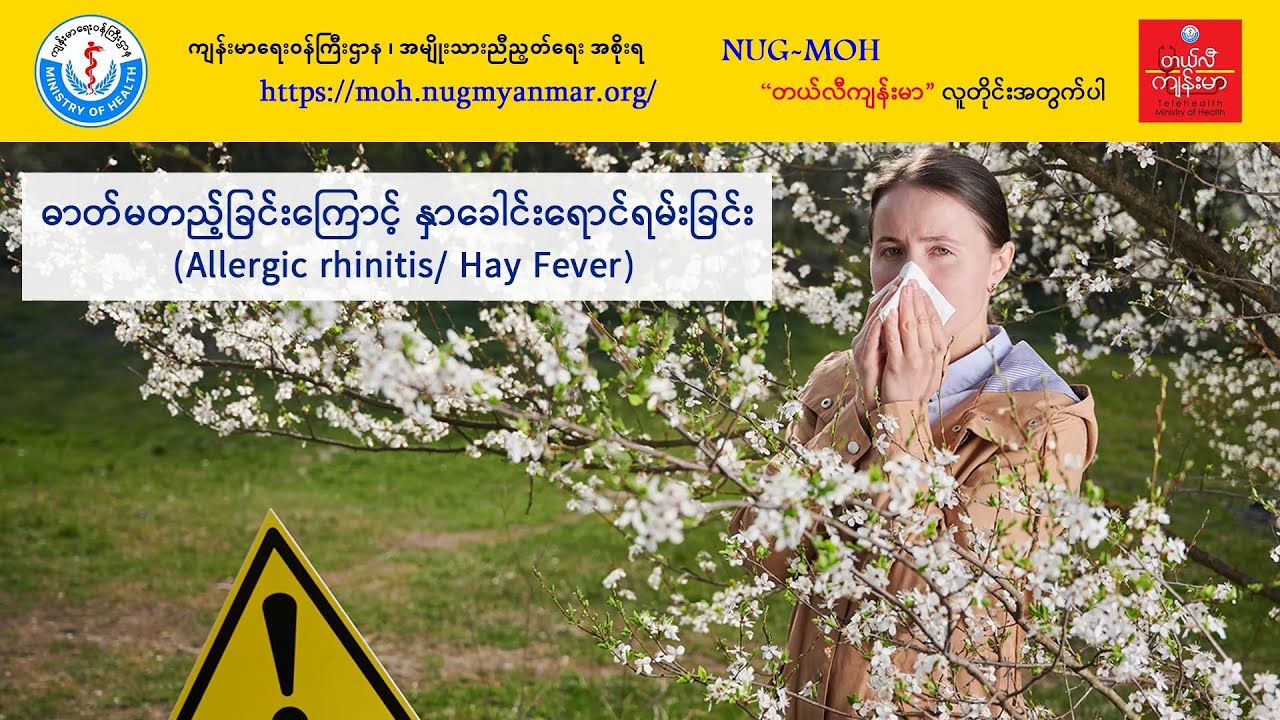 ဓာတ်မတည့်ခြင်းကြောင့် နှာခေါင်းရောင်ရမ်းခြင်း (Allergic Rhinitis / Hay Fever)