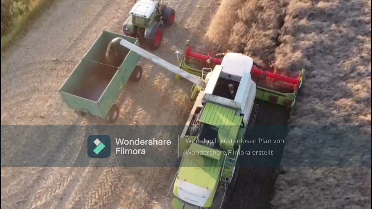 Raps/weizen Ernte 2021