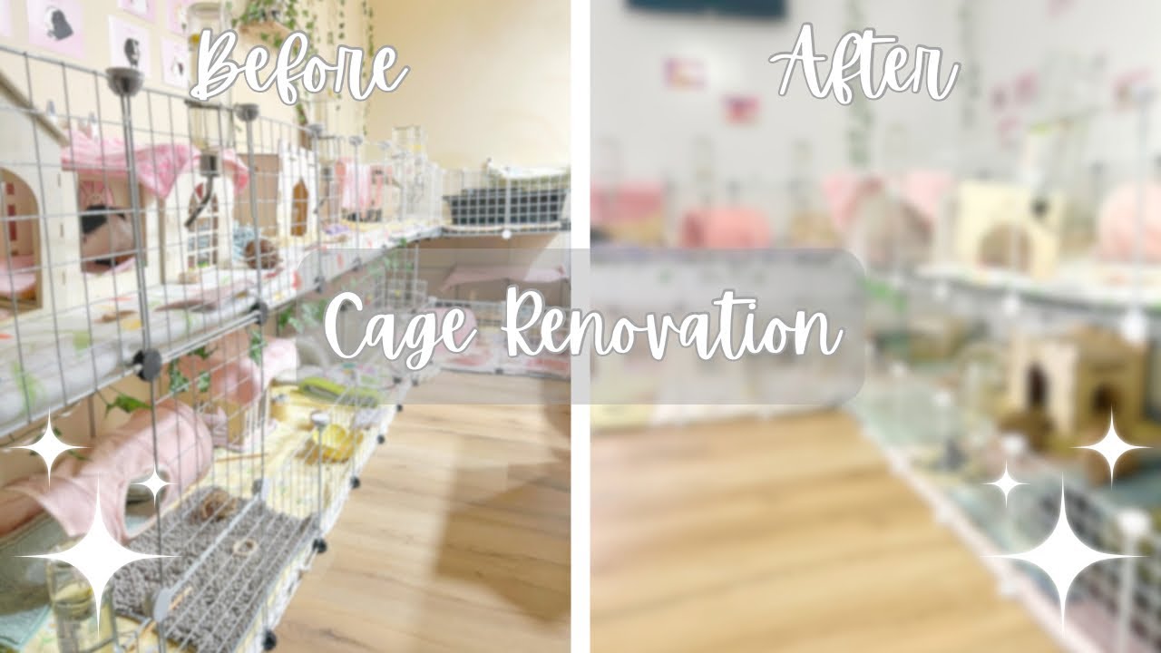 CAGE RENOVATIONS | FIRST VIDEO💖 New C&C Guinea Pig Cages & Organizing
