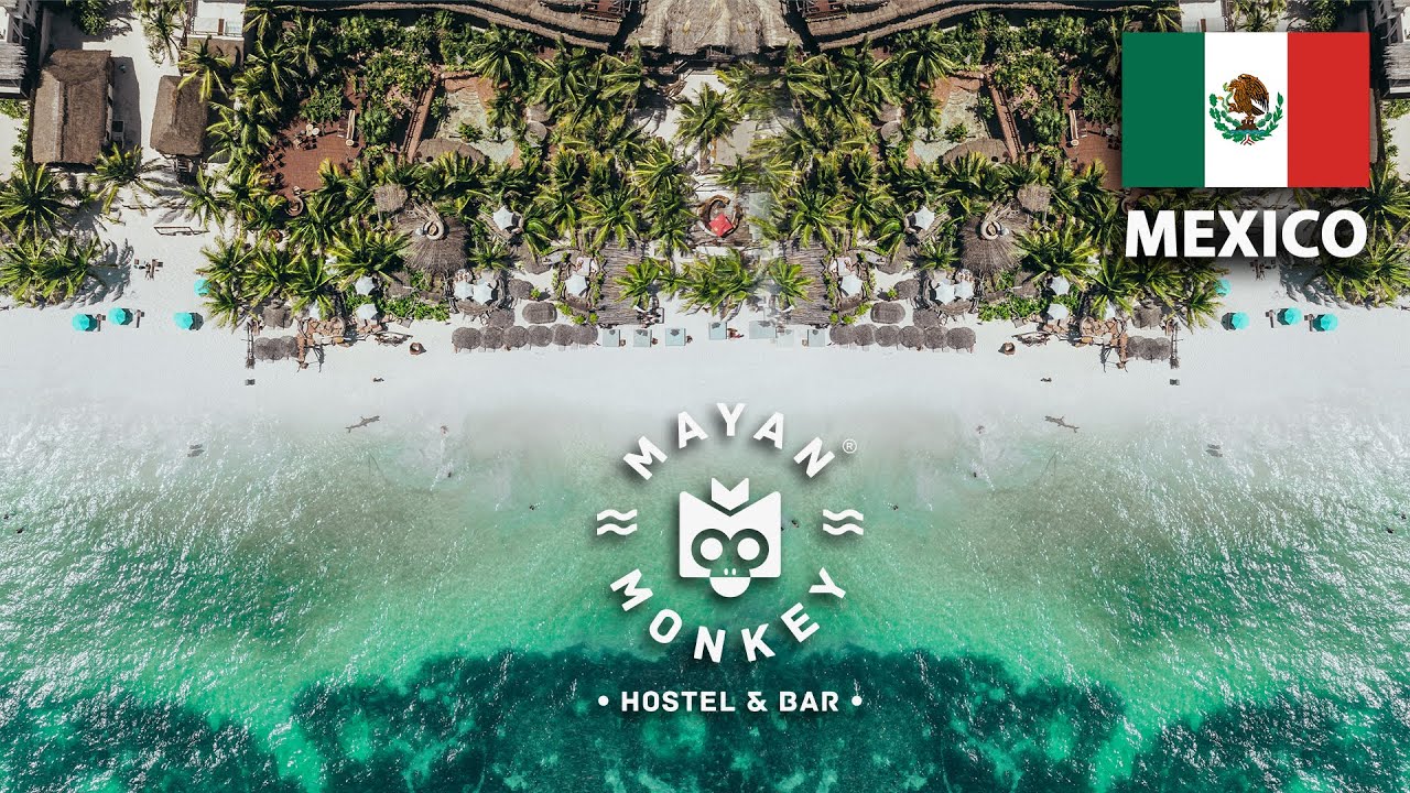 $15 Hotel in Tulum Mexico (Mayan Monkey Hostel)