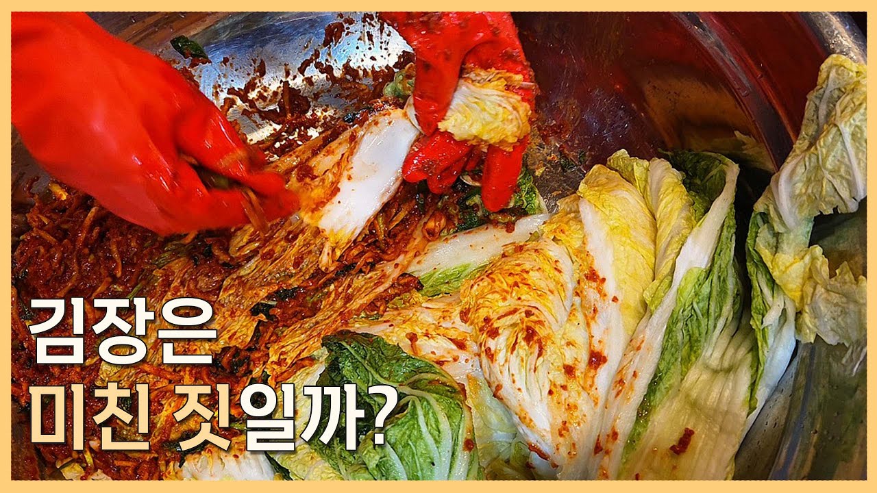 미친 짓 같았던 날들이 우리를 살렸습니다