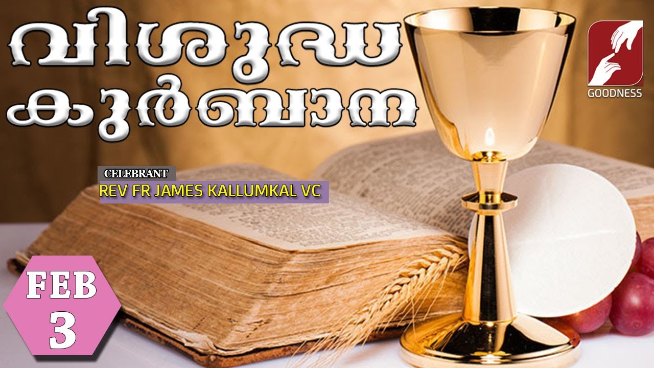 HOLY MASS LIVE @ 6 AM, 03-FEB-2026|FR JAMES KALLUMKAL VC|MALAYALAM QURBANA|TODAY MASS|GOODNESS TV