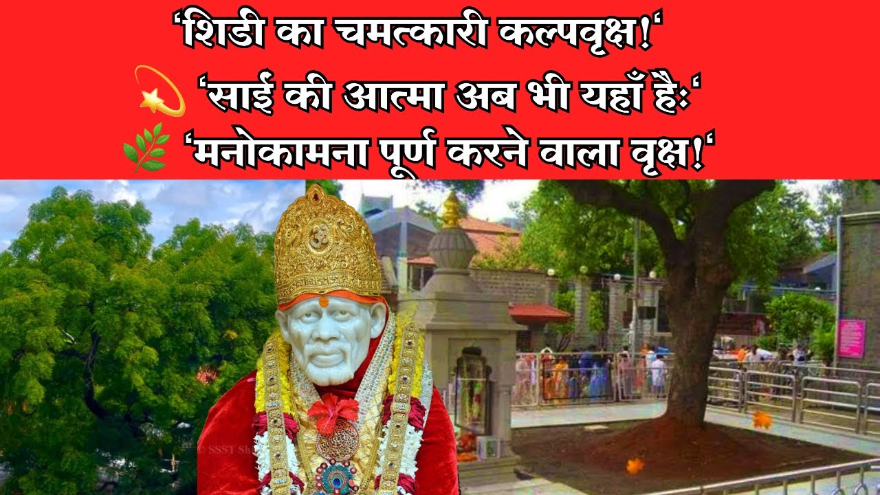 शिरडी का कल्पवृक्ष 🌳 | जहाँ साईं बाबा ने तप किया | Shirdi Kalpavriksha | Sai Baba Miracles
