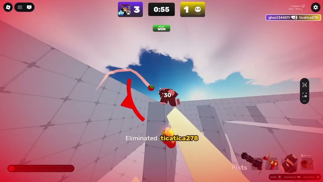 playing mirror matchup