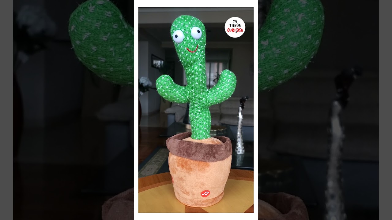 CACTUS BAILAR&Iacute;N REPITE