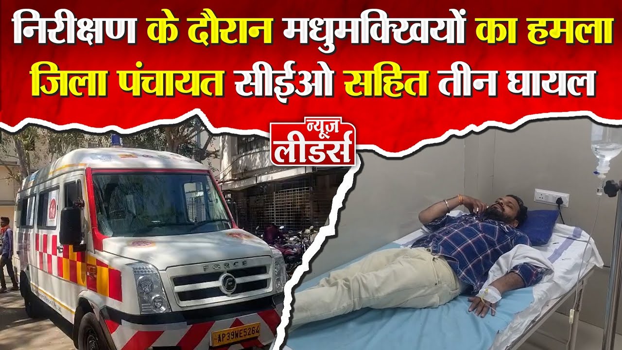 Newsleaders निरीक्षण में मधुमक्खियों के झुंड का हमला, जिला पंचायत सीईओ सहित तीन घायल, अस्पताल भर्ती