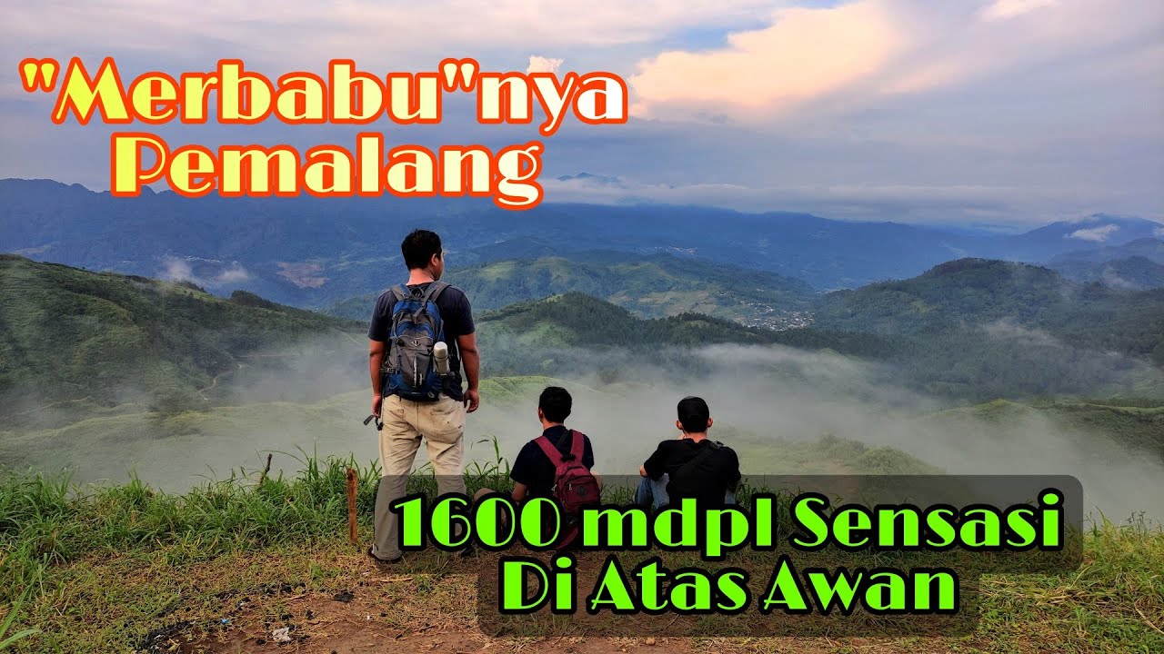 NAIK 1,5 JAM DAPAT LAUTAN AWAN (Puncak Janglangas, Pemalang)