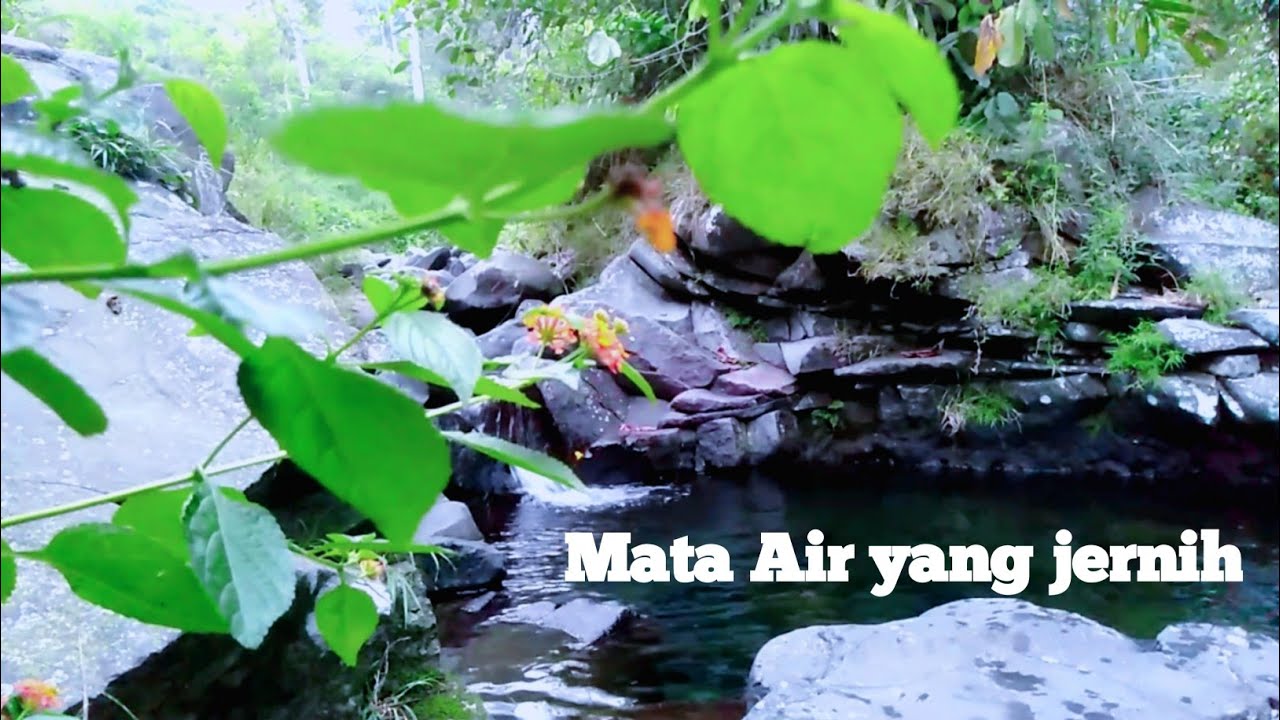 TENJOLAYA PARK || asri || pesona desa wisata tersembunyi di Bogor yang belum diketahui banyak orang