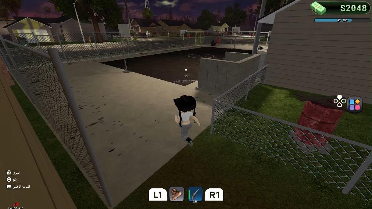 Roblox_20260129151911