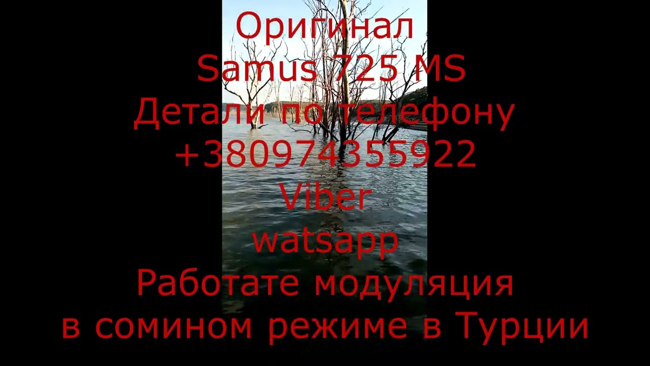 Samus 725 MS Samus 1000 Rich P 2000 ПОВТОР