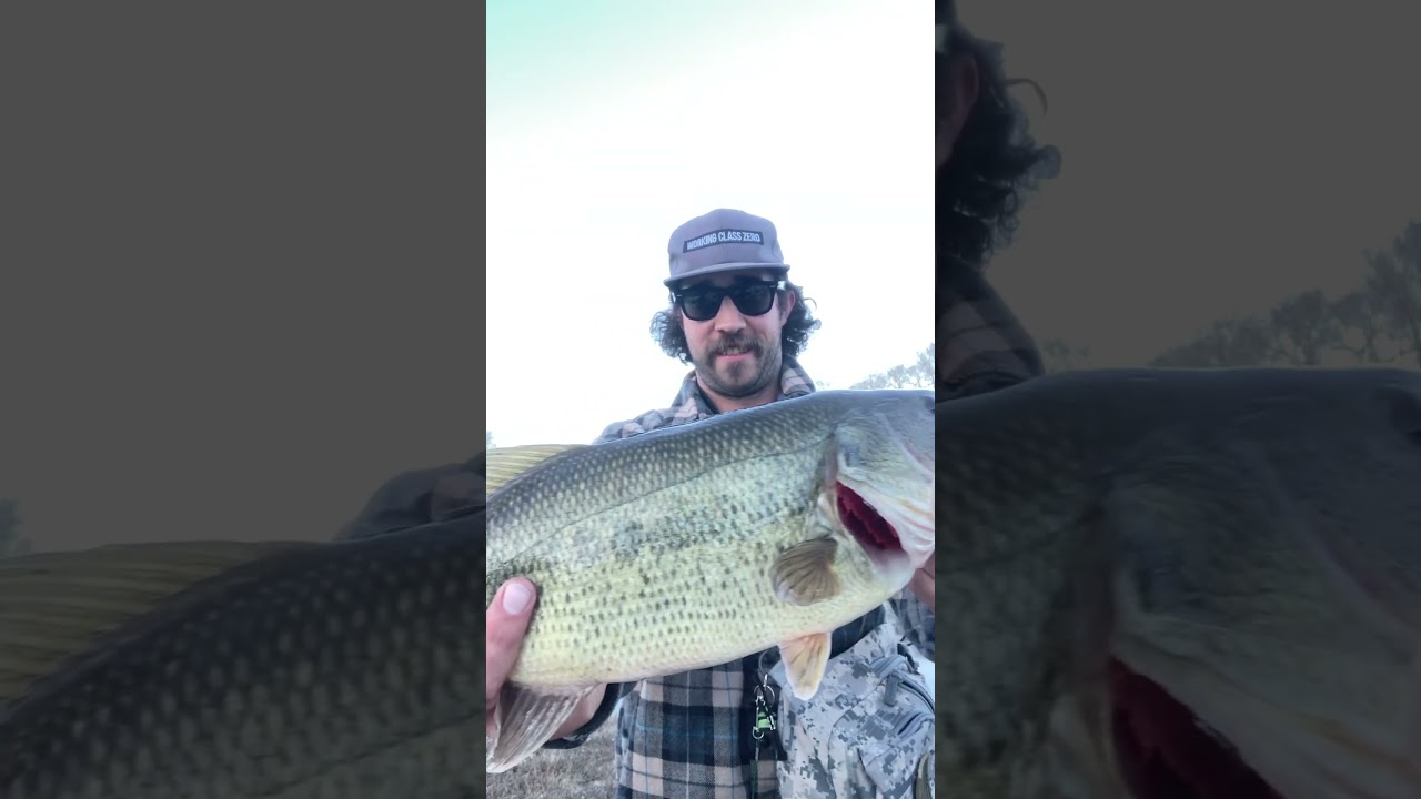 Skating and swimbaiting !! 