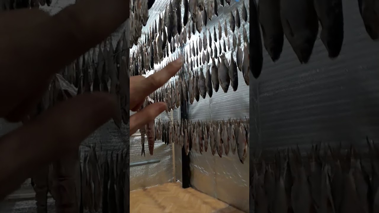 Сушильная камера своими руками.Часть 1 